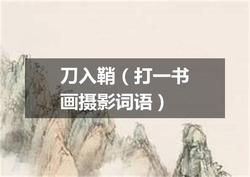 刀入鞘（打一书画摄影词语）