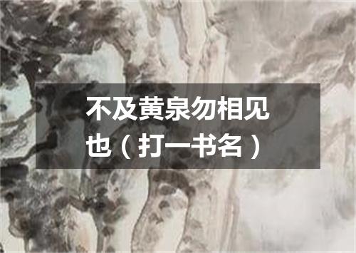 不及黄泉勿相见也（打一书名）