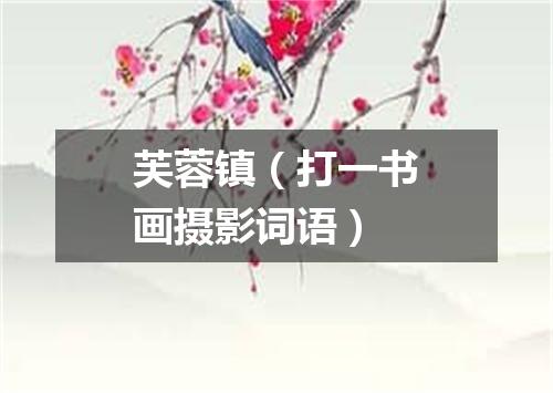 芙蓉镇（打一书画摄影词语）