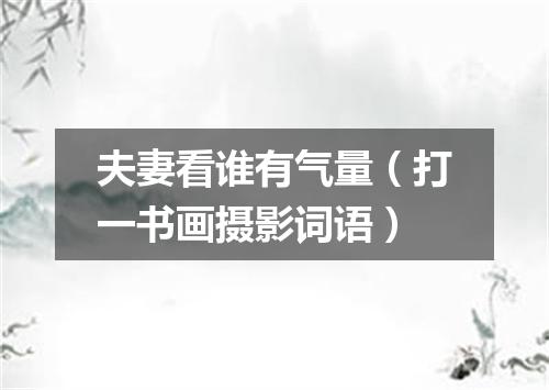 夫妻看谁有气量（打一书画摄影词语）