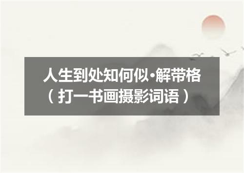 人生到处知何似·解带格（打一书画摄影词语）