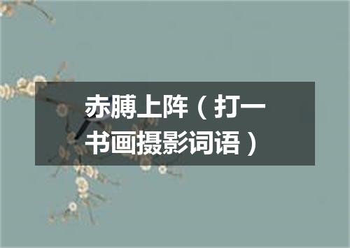 赤膊上阵（打一书画摄影词语）