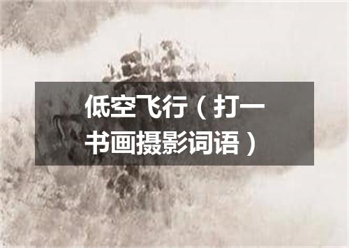低空飞行（打一书画摄影词语）