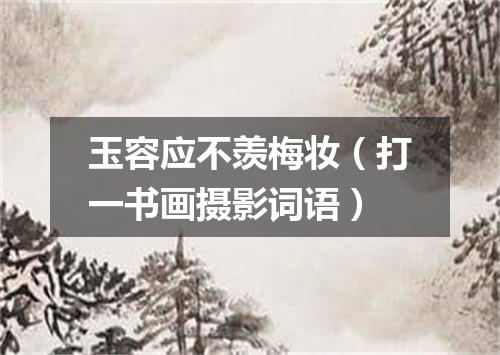 玉容应不羡梅妆（打一书画摄影词语）