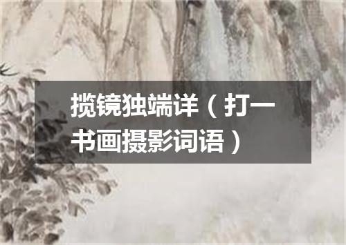 揽镜独端详（打一书画摄影词语）