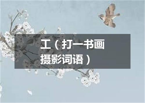 工（打一书画摄影词语）