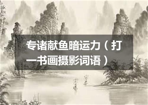 专诸献鱼暗运力（打一书画摄影词语）