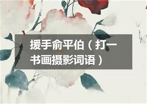 援手俞平伯（打一书画摄影词语）