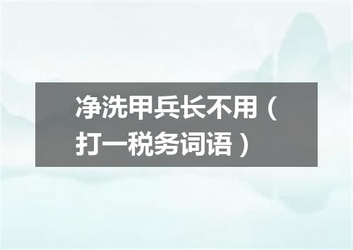 净洗甲兵长不用（打一税务词语）