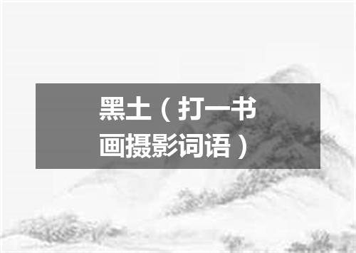 黑土（打一书画摄影词语）