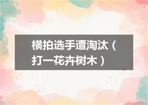 横拍选手遭淘汰（打一花卉树木）