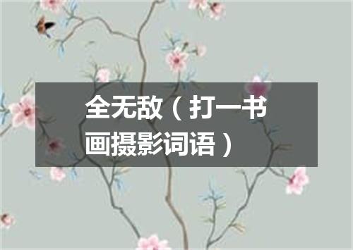全无敌（打一书画摄影词语）