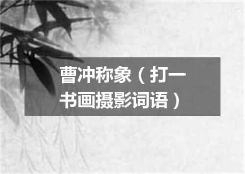 曹冲称象（打一书画摄影词语）