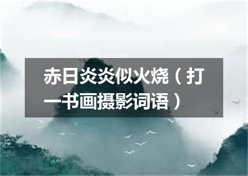 赤日炎炎似火烧（打一书画摄影词语）