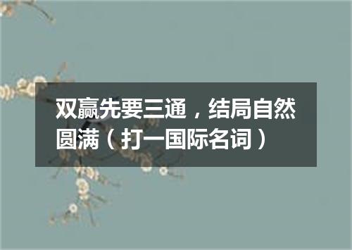 双赢先要三通，结局自然圆满（打一国际名词）