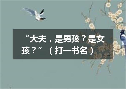 “大夫，是男孩？是女孩？”（打一书名）