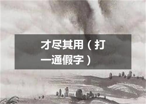 才尽其用（打一通假字）