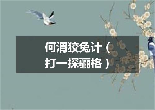 何渭狡兔计（打一探骊格）