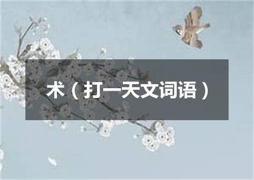 术（打一天文词语）