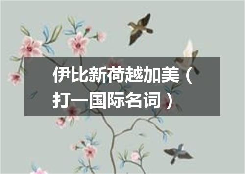 伊比新荷越加美（打一国际名词）