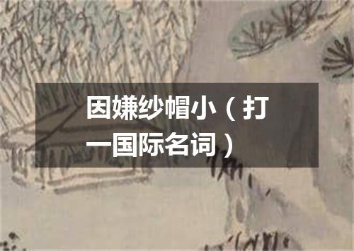 因嫌纱帽小（打一国际名词）