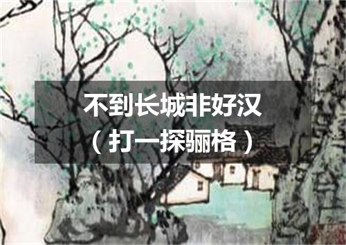 不到长城非好汉（打一探骊格）