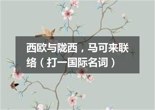 西欧与陇西，马可来联络（打一国际名词）