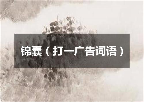 锦囊（打一广告词语）