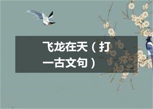 飞龙在天（打一古文句）