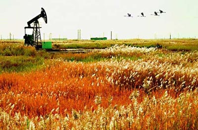 你未曾领略的秋色之美 你未曾领略的秋色之美