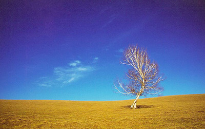 你未曾领略的秋色之美 你未曾领略的秋色之美