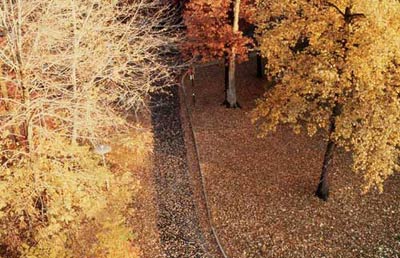 你未曾领略的秋色之美 你未曾领略的秋色之美