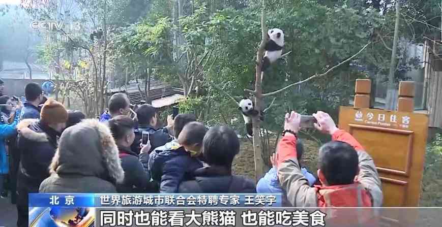 文章详情图片