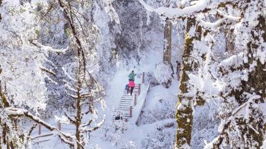 蜀山冰雪季开启 “南方小土豆”就近撒欢儿