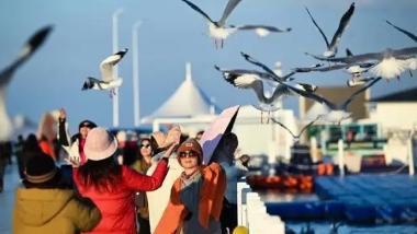 景区焕新：遇见更美好的旅途