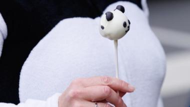 大熊猫“宝力”“青宝”抵达华盛顿国家动物园