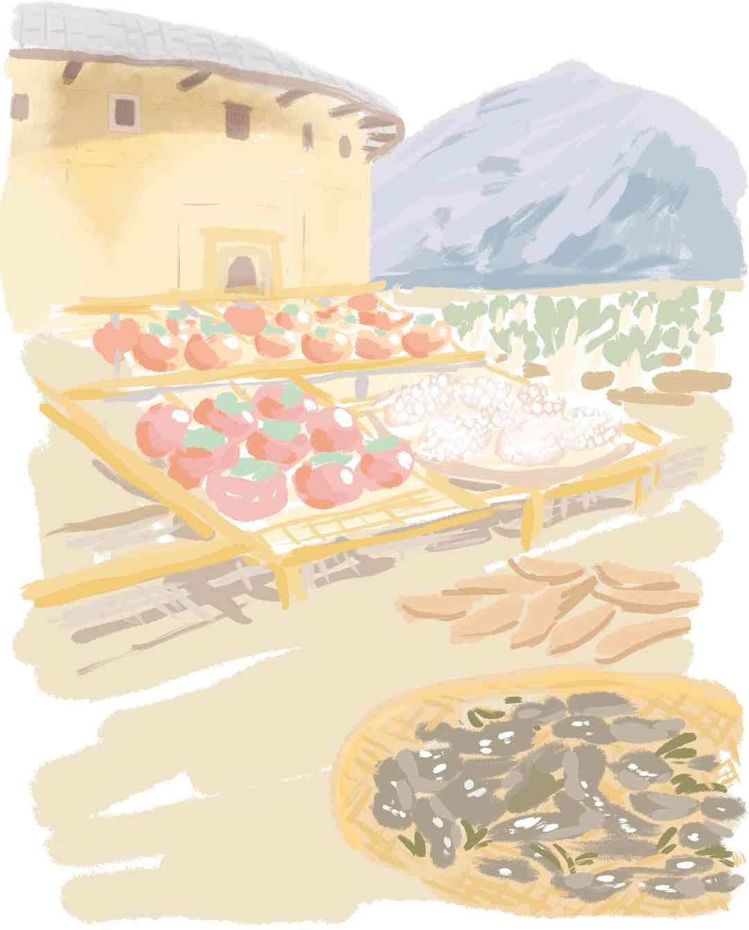 永定芥菜盼冬月