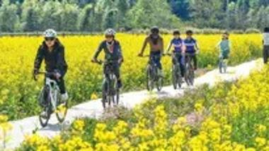 数读春日经济 洞见市场活力