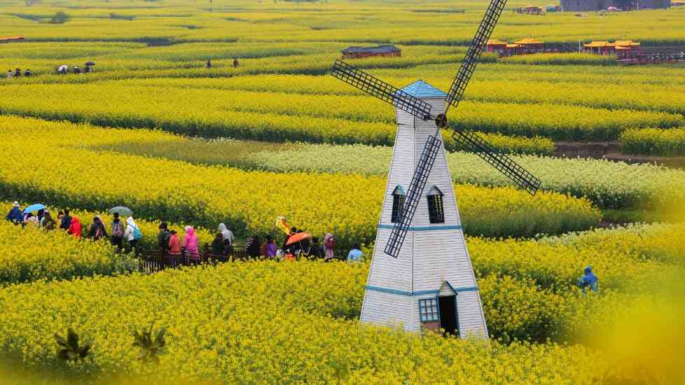 四月春浓花似海，“高铁 +” 丰富出游体验