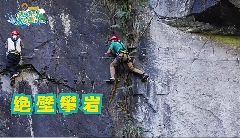 文章详情图片