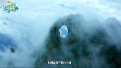 文章详情图片