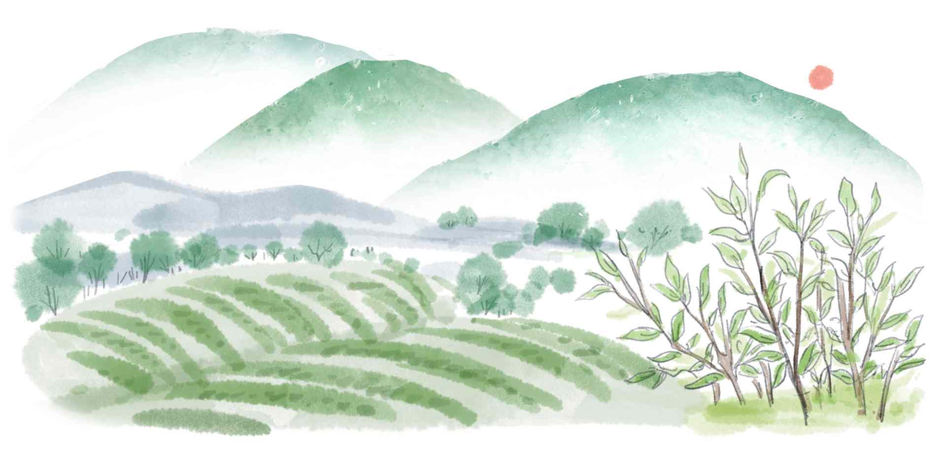 文章详情图片