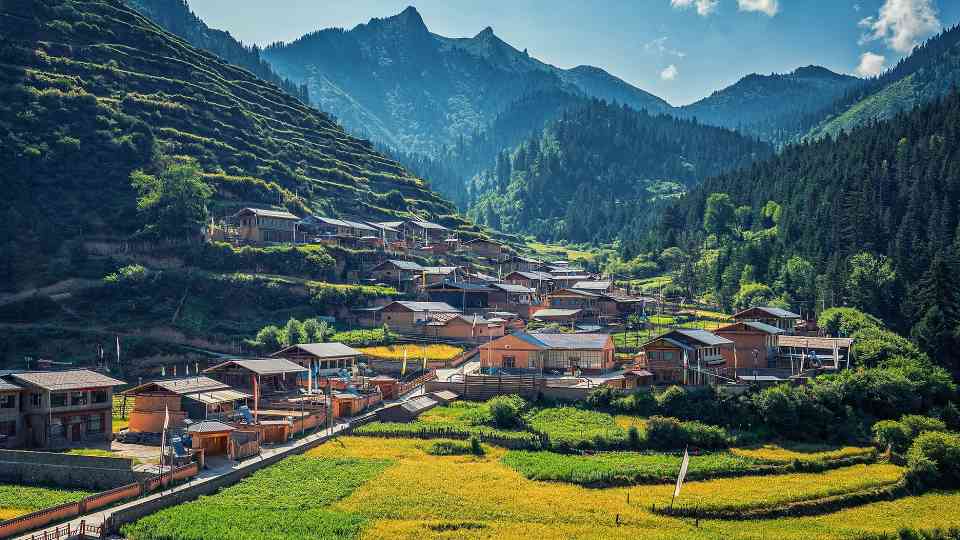 多重因素共同作用 乡村旅游缘何强势“出圈”