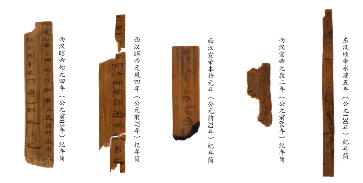 文章详情图片