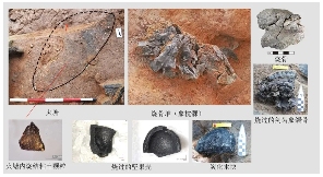 文章详情图片
