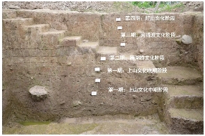 文章详情图片