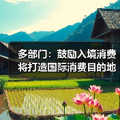 多部门：鼓励入境消费 将打造国际消费目的地