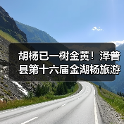 胡杨已一树金黄！泽普县第十六届金湖杨旅游文化季邀您来品（图4）