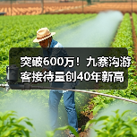 突破600万！九寨沟游客接待量创40年新高（图4）