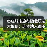 枣庄城市旅行隐藏玩法大揭秘：连本地人都不知道的10个小众景点..（图1）